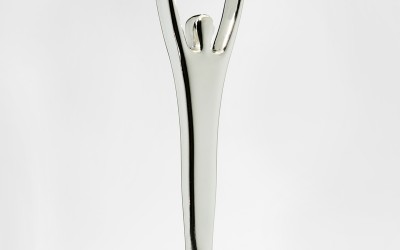 Leading the Change wins a Silver Stevie Award