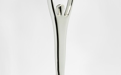 Leading the Change gana un Silver Stevie Award